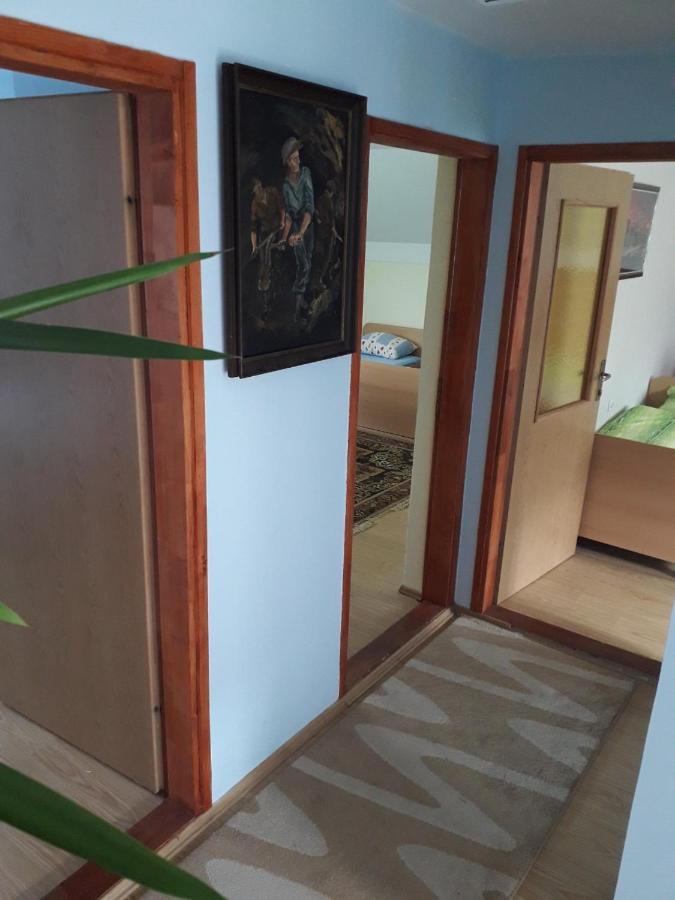 Prenociste Vitas Bed & Breakfast Miljevina Екстериор снимка